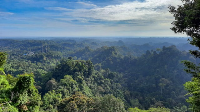 Penginapan Di Sibolangit, Pilihan Terbaik untuk Liburan anda